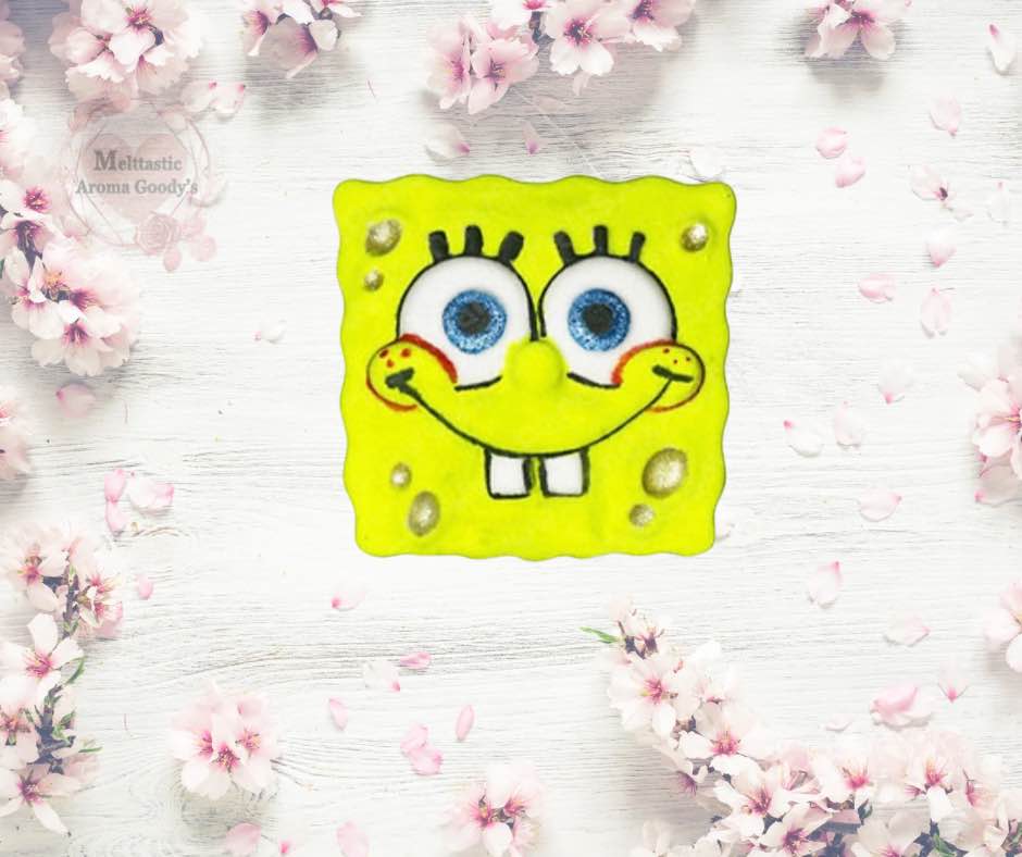 Square Sponge Bath Bombs