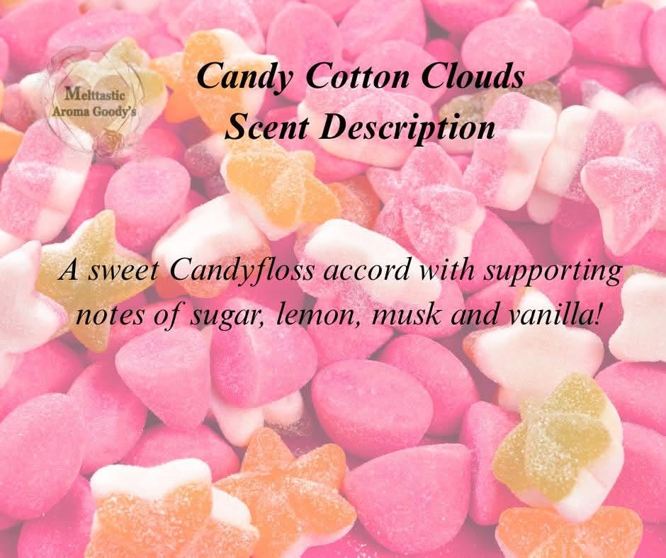 Shell Yeah Summer! Pair Wax Melts