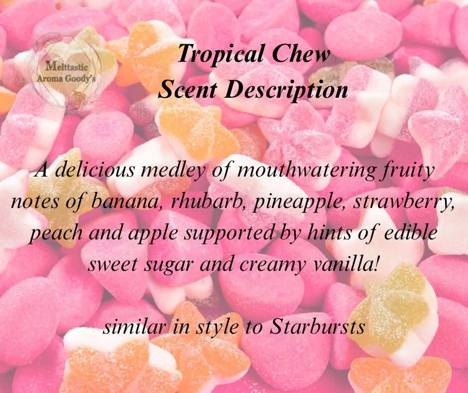 Shell Yeah Summer! Pair Wax Melts